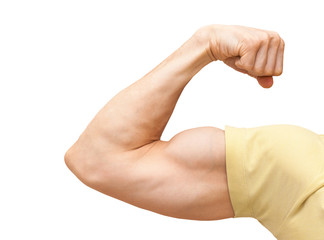 Strong male arm shows biceps. Close-up photo isolated on white