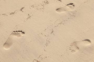 Man footprints in wet yellow sand on the beach