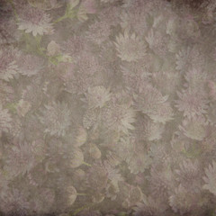 textured old paper background with Astrantia