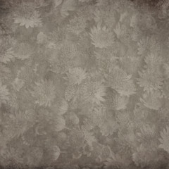 textured old paper background with Astrantia,