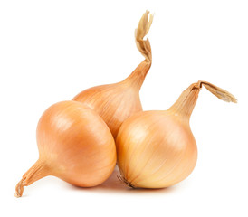 Onion vegetable bulbs on white background