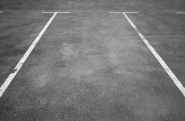 Empty parking place with white marking lines on asphalt - obrazy, fototapety, plakaty