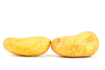 Potato