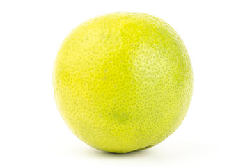 Lime