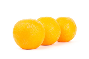 Navel orange fruit