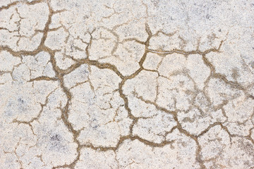 Grunge cracks on white paint texture.