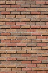 Fototapeta premium レンガの壁