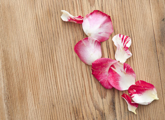 Rose petals lying down on a wooden table