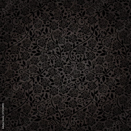 Fototapete 黒薔薇 ベルベットのような背景 高級感 lto Fototapete 黒薔薇 ベルベットのような背景 高級感 lto