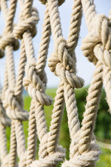 Close up to the climbing ropes