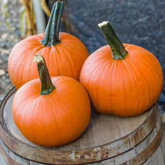 Three orange pumpkins on display