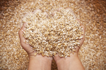 child's hands holding milled grain