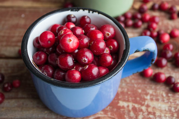 cranberry