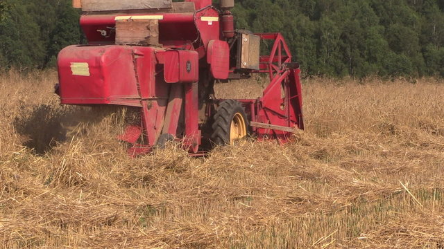 Agricultural combine harvester cut ripe wheat grain field