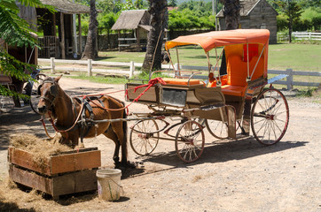 horse drawn carriage in a sunny and hot day