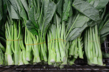 Fototapeta premium Chinese Broccoli Vegetables in basket