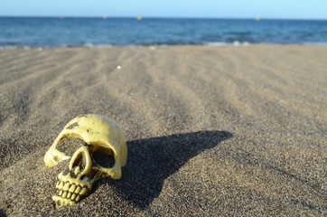 Fototapeta premium Skull on Sand