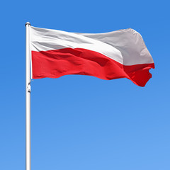Wehende Flagge von Polen - obrazy, fototapety, plakaty