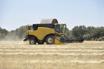 Combine harvester