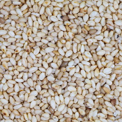 organic natural sesame seeds