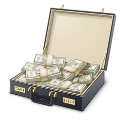 Case full of money