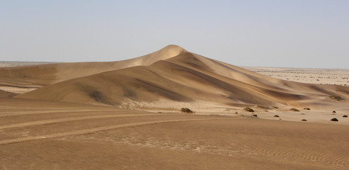 Namib Desert