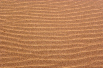 Sand Dunes Background