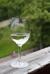 Glass of white wine