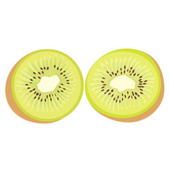 Kiwi fruit vector