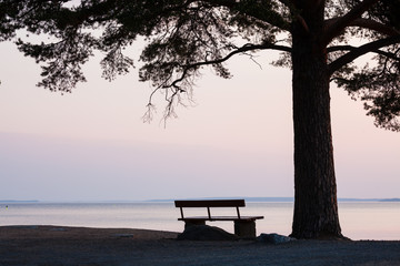 Bench and tree silhouette viewing to serene lake