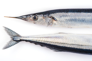Agujas, pescado azul para una dieta saludable