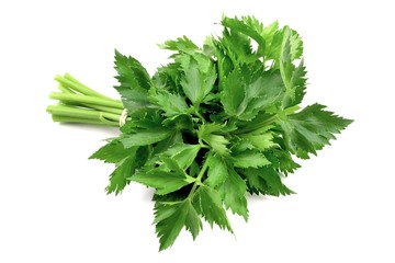 celery leaves © robert6666