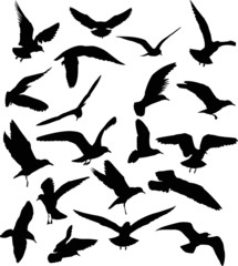 set of twenty gull black silhouettes