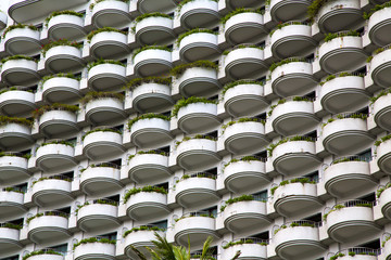 window plant terrace of the centre  bangkok thailand