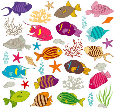Colorful Fish Set