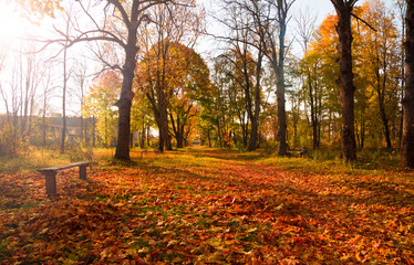 Old park in autumn
