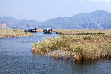 Fototapeta na wymiar Boats on Dlayan river, Dalyan, Mugla
