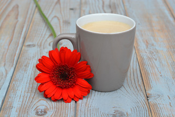 Koffiekop met rode gerbera op oud hout