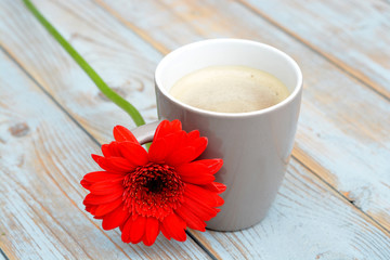 Koffiekop met rode gerbera op oud hout
