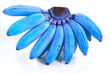 blue bananas