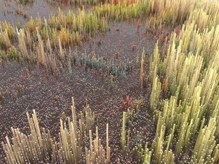 Città del futuro, grattacieli, fantascienza, astratto © Naeblys