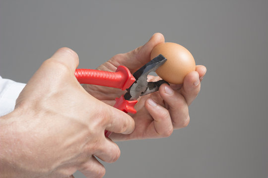 A male's hands with  hens egg and pliers.