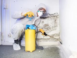 Pest controler eliminiates a mold infestation