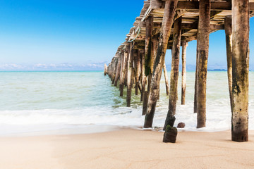 Jeety with beach on summer