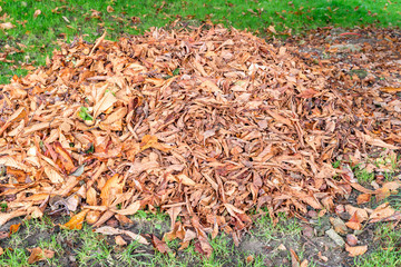 Fallen