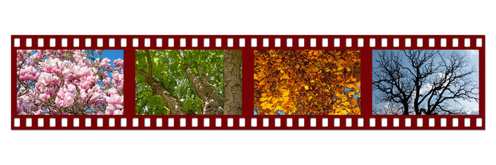 Bilder und Videos suchen: "4 jahreszeiten"