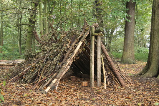 Primitive Bushcraft Shelter In The Forest With A Campfire Inside Stock  Photo - Download Image Now - iStock