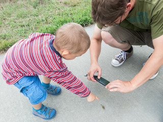 Father and son taking picture of a locust