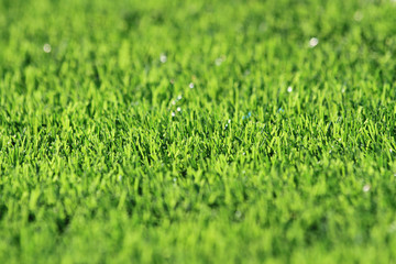 plastic green grass background