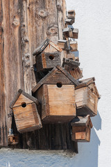 Vogelhäuschen